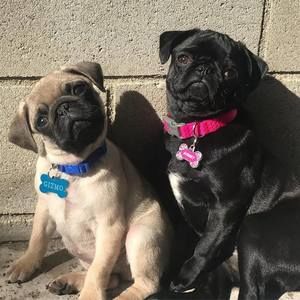 Meet your Posher, Michele